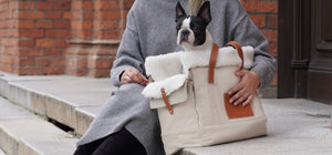 soft beige liiva dog carrier in comforting morning light with natural leather details