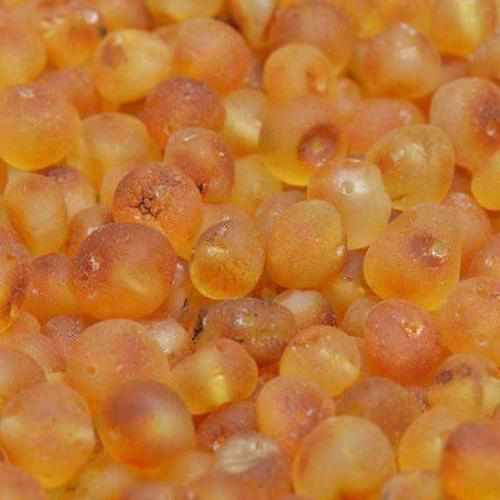 Girls Nurture Raw Honey Pink Agate Baltic Amber Bead Necklace