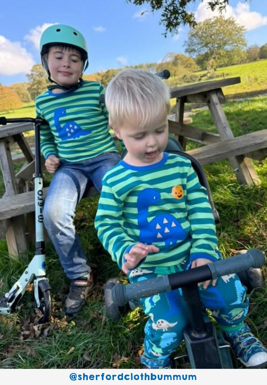 Organic Green Tonal Dinosaur Applique Long Sleeved T Shirt