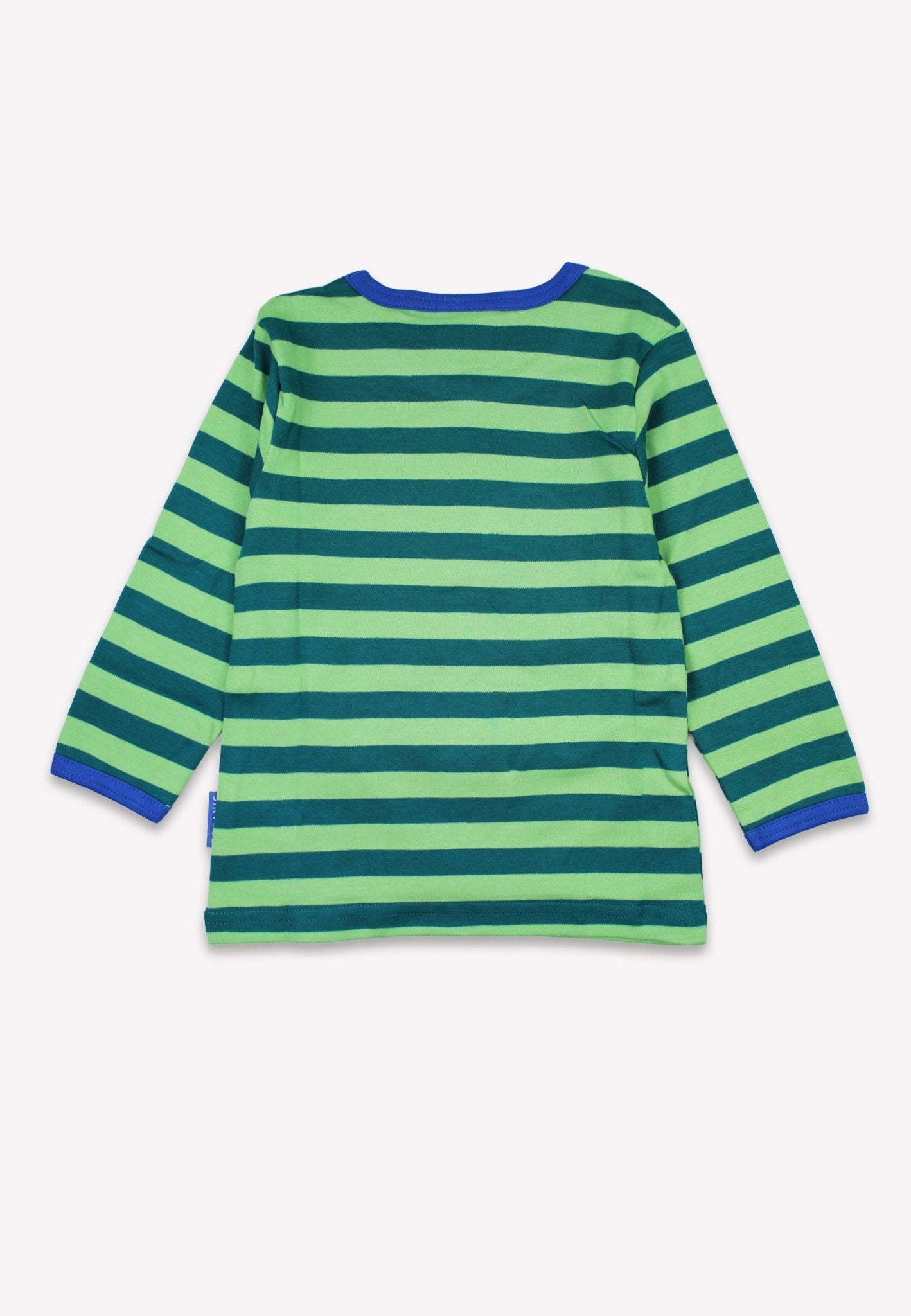 Organic Green Tonal Dinosaur Applique Long Sleeved T Shirt