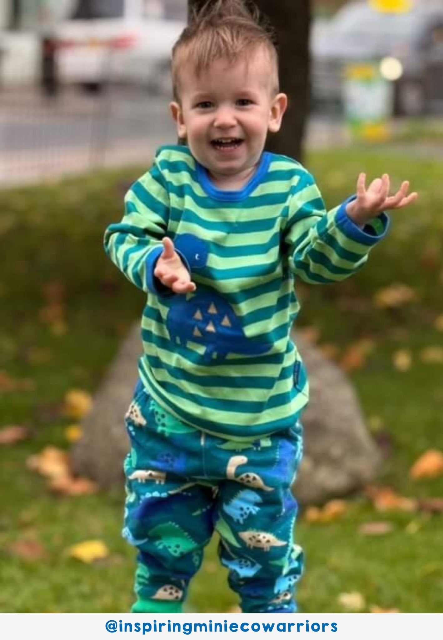 Organic Green Tonal Dinosaur Applique Long Sleeved T Shirt