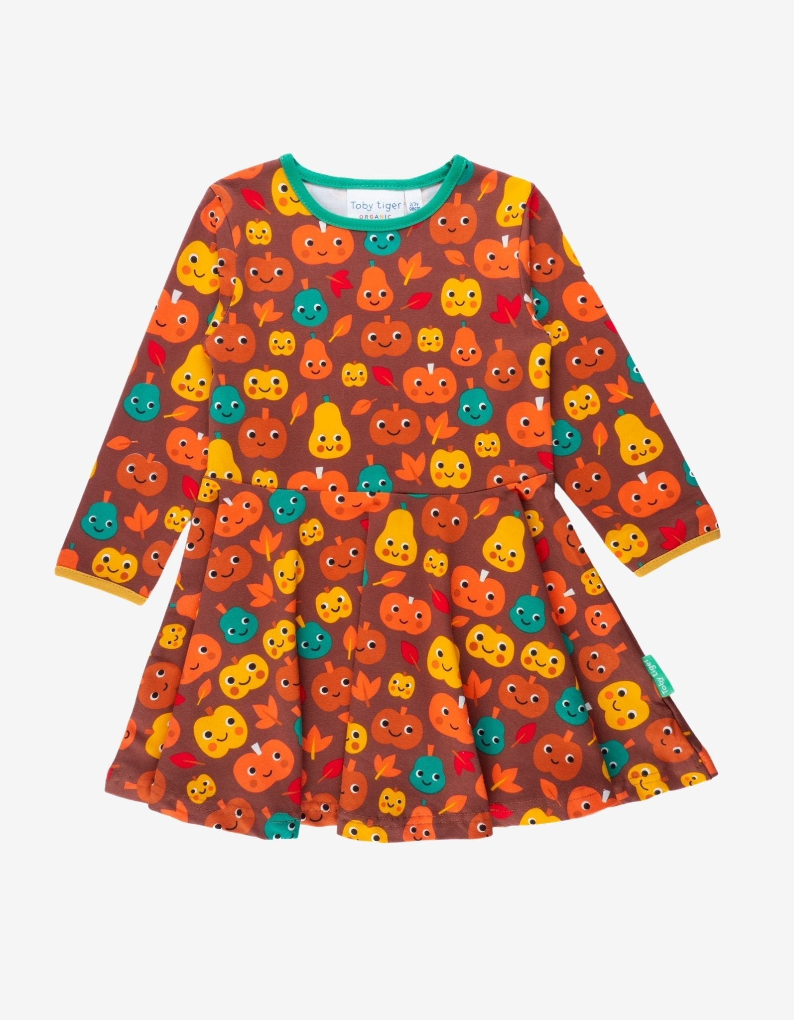 Organic Pumpkin Print Long Sleeved Skater Dress for Kids