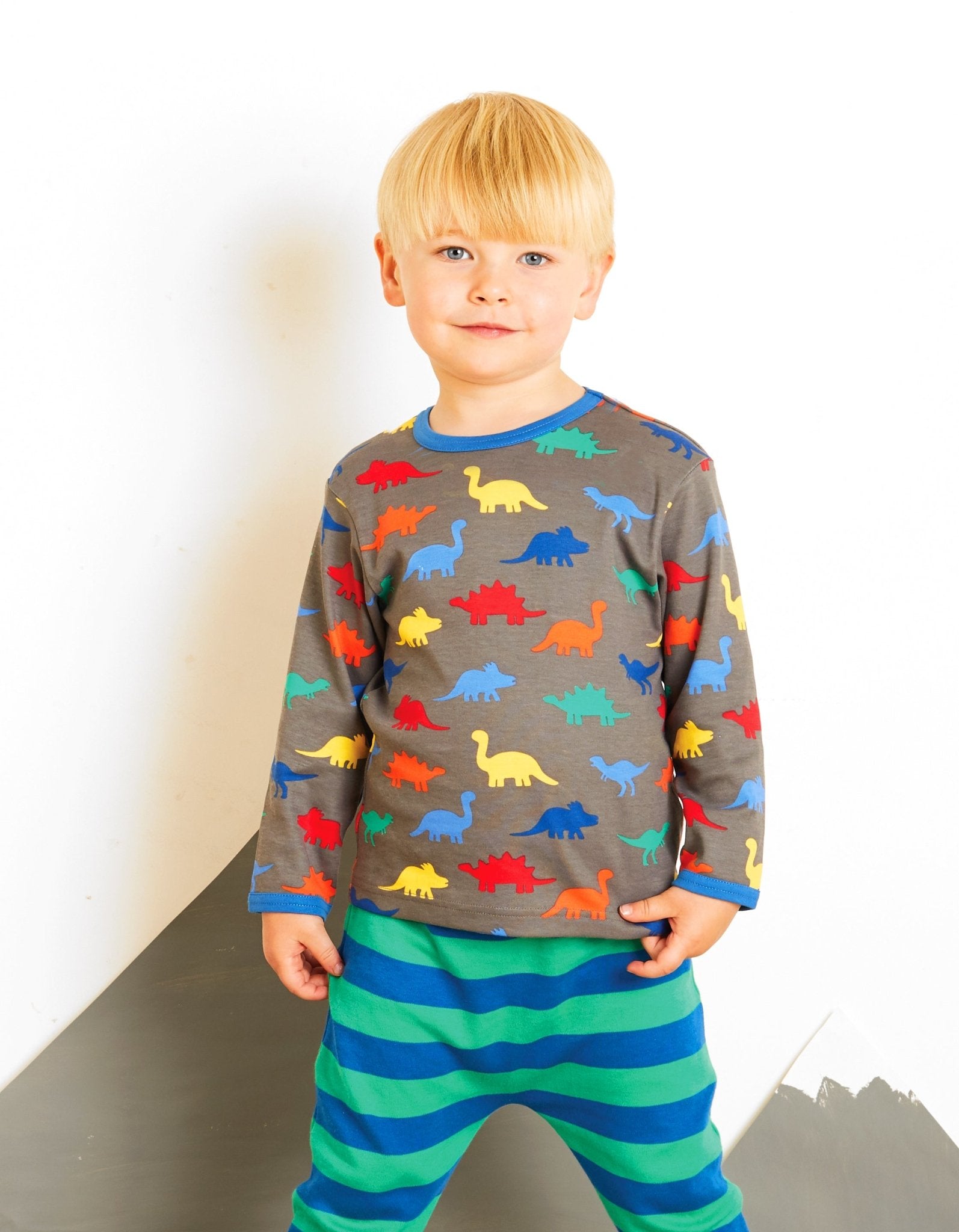 Organic Dinosaur Print Long Sleeve T Shirt for Kids