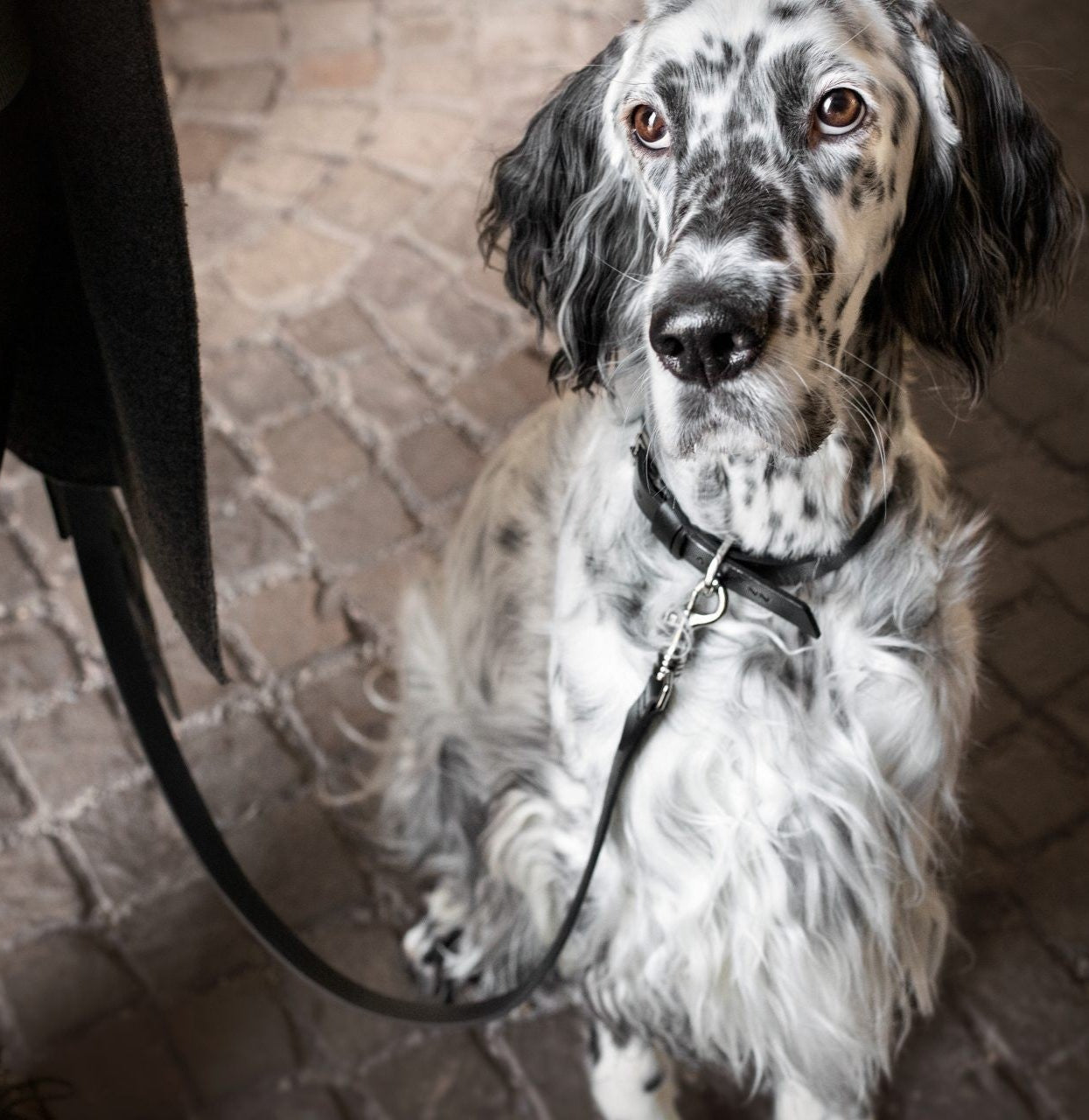 Lussa Leash - Black 