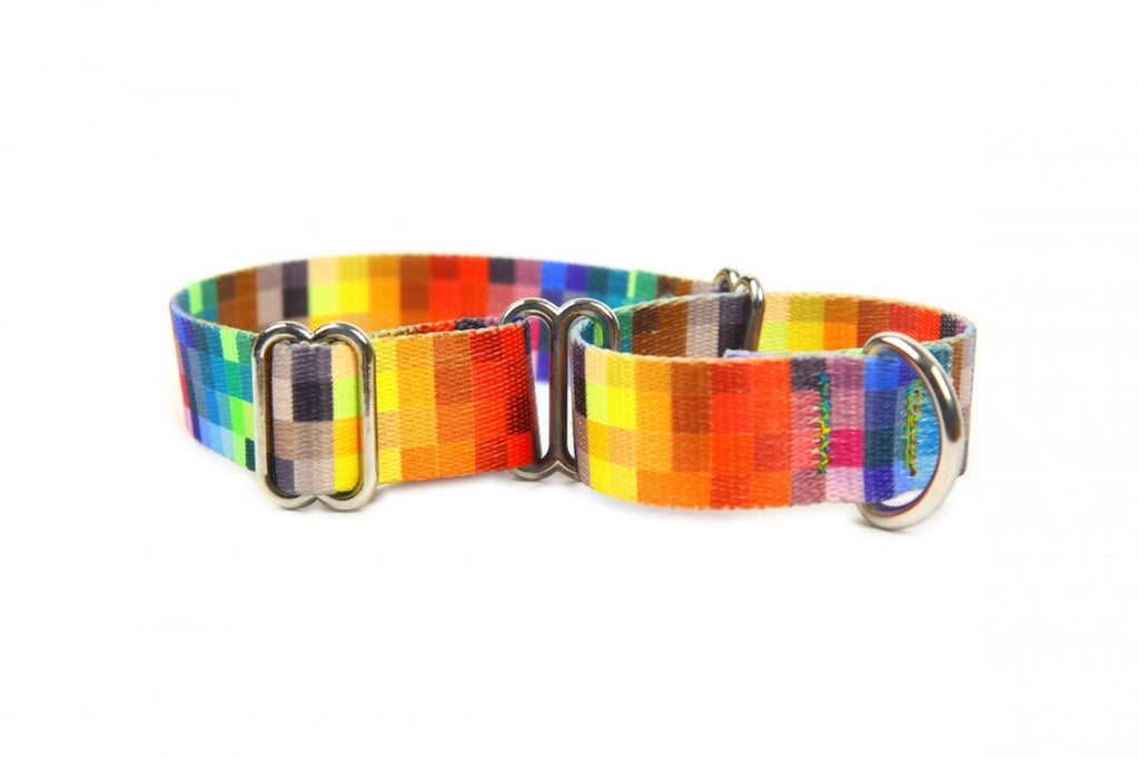bold matteo martingale dog collar for secure control on walks