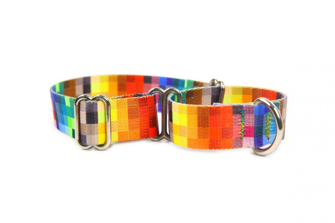 bold matteo martingale dog collar for secure control on walks