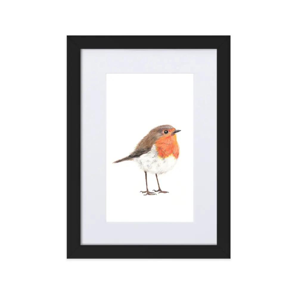 Robin Framed Print with Mat A4 Wildlife Wall Art