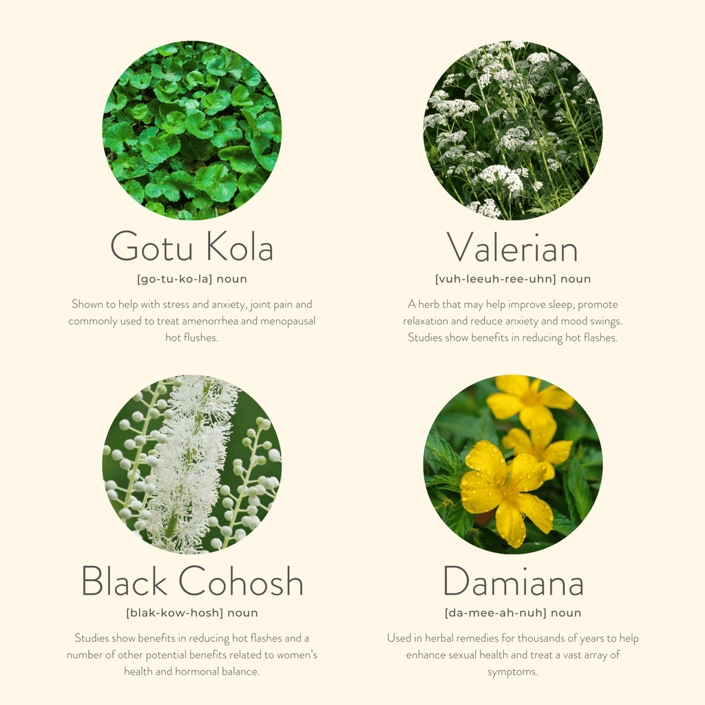 Menopause Balance Patches