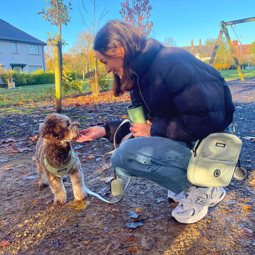 Mini Dog Walking Bag - Sage Green