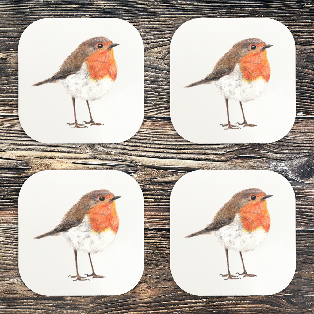 Hand Drawn Robin Coaster Set of 4