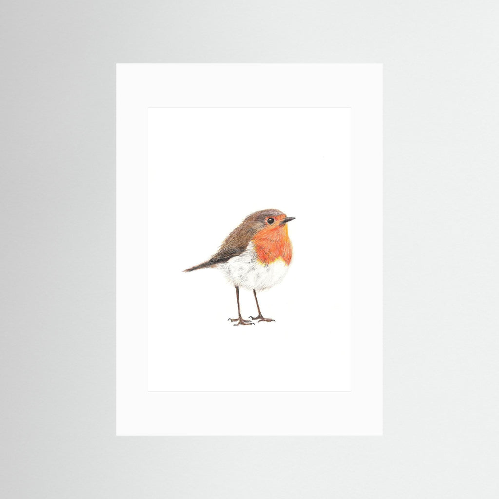 Robin Art Print Wildlife Wall Art for Nature Lovers