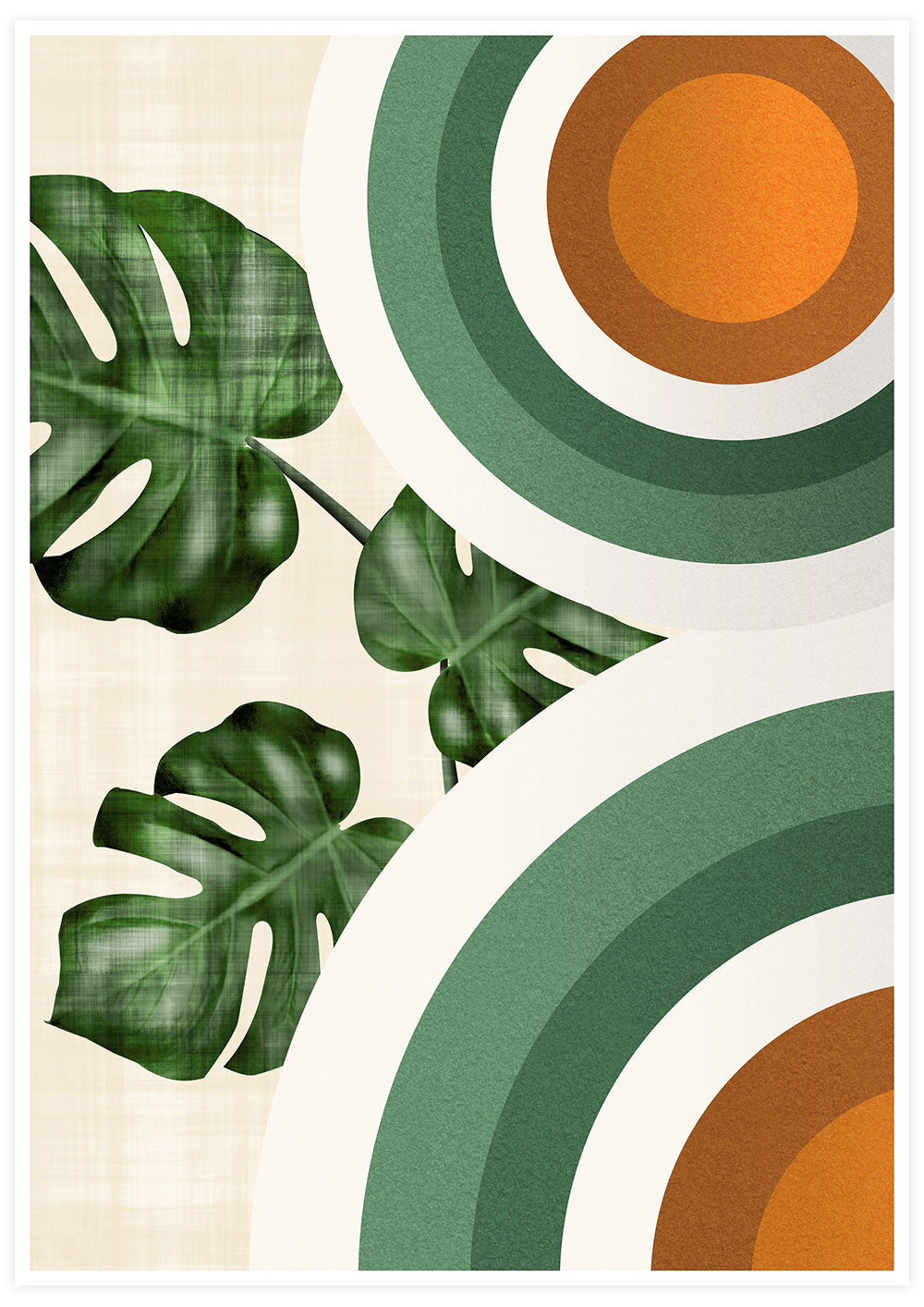 Monstera and Circles Poster Print