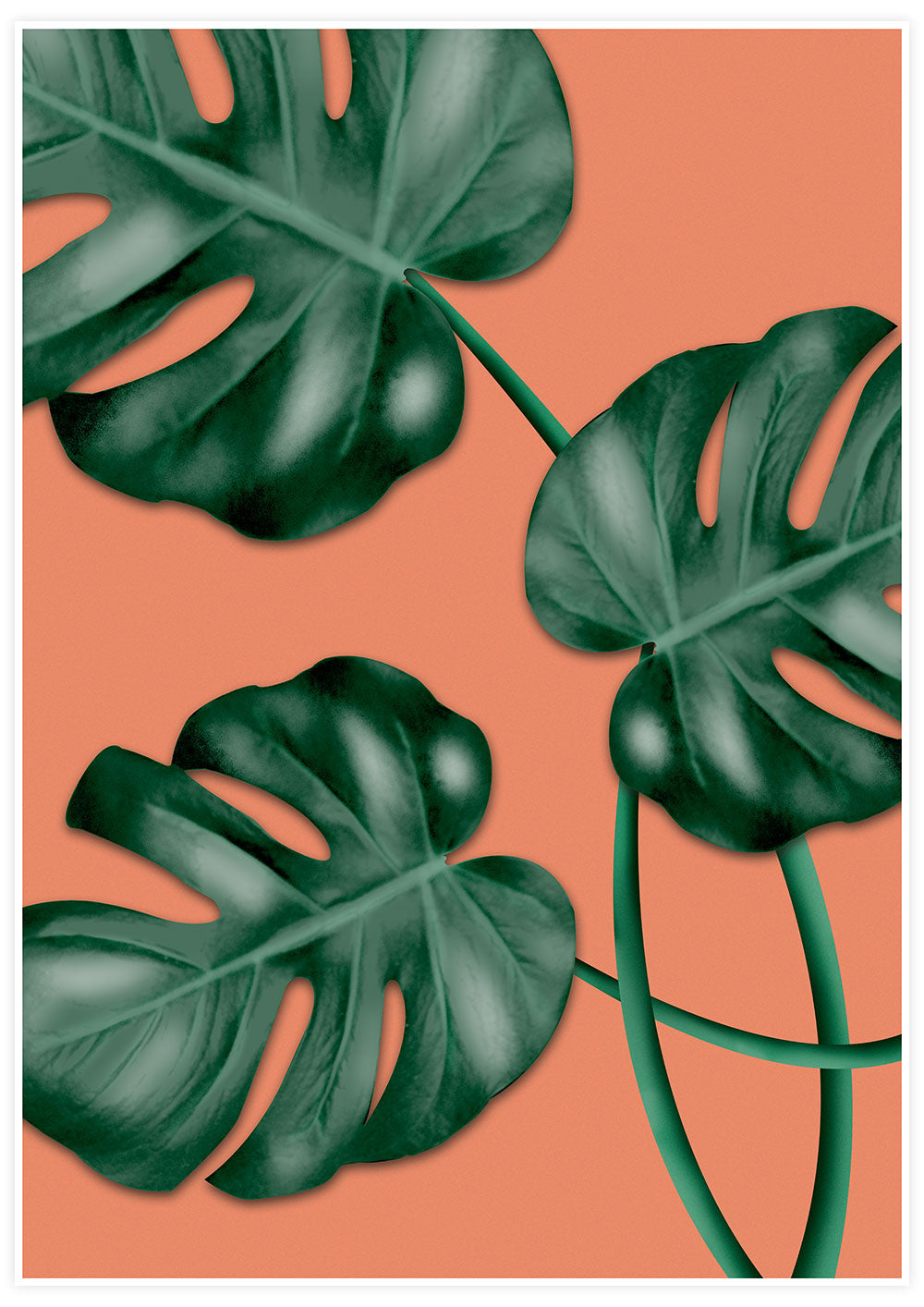 Monstera Orange Botanical Illustration Print