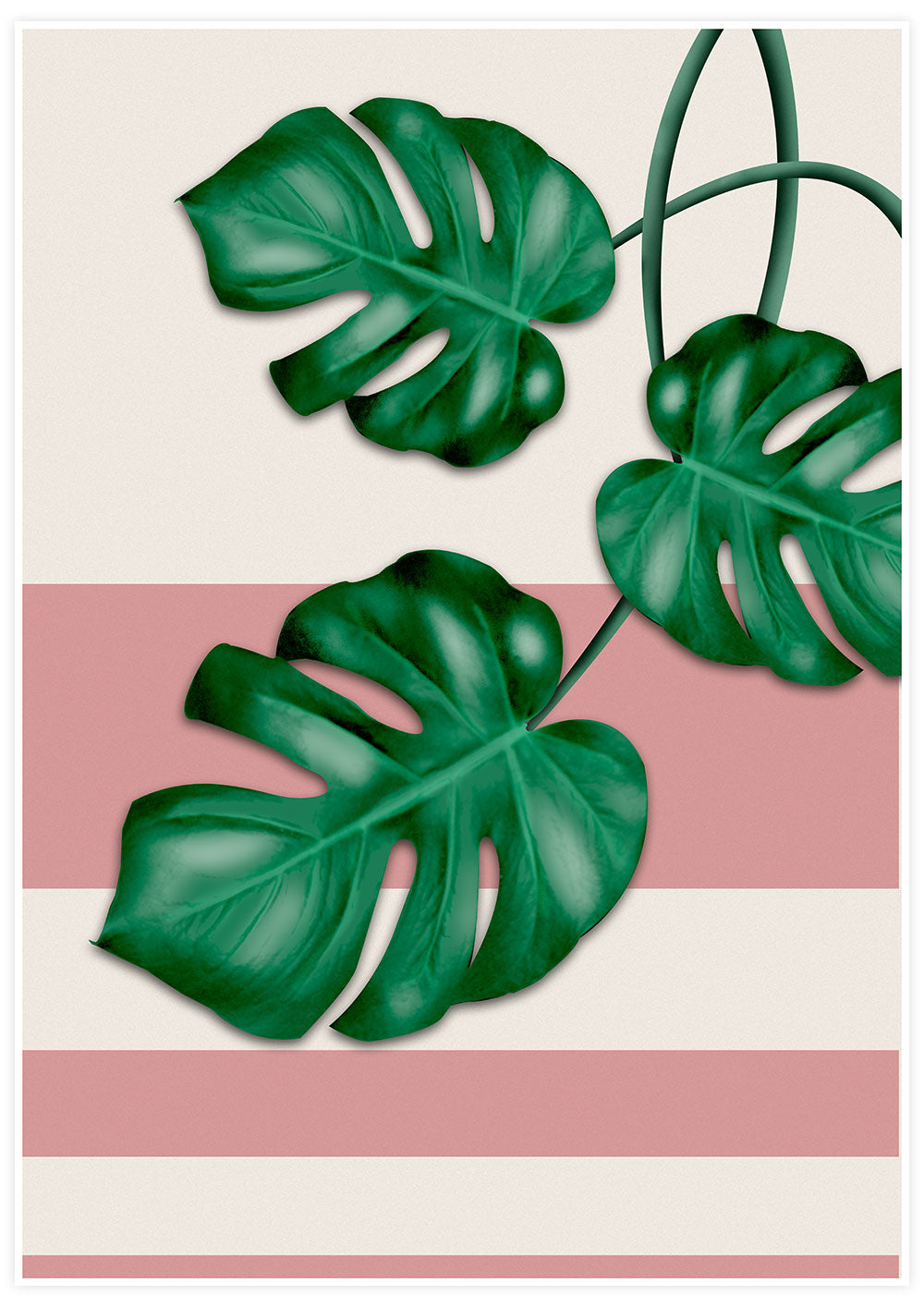 Pink Monstera Deliciosa Print