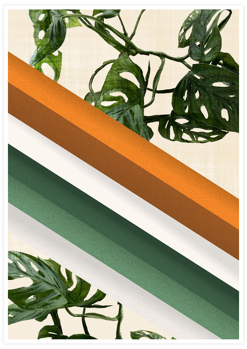 Monstera Ramp Retro Wall Art