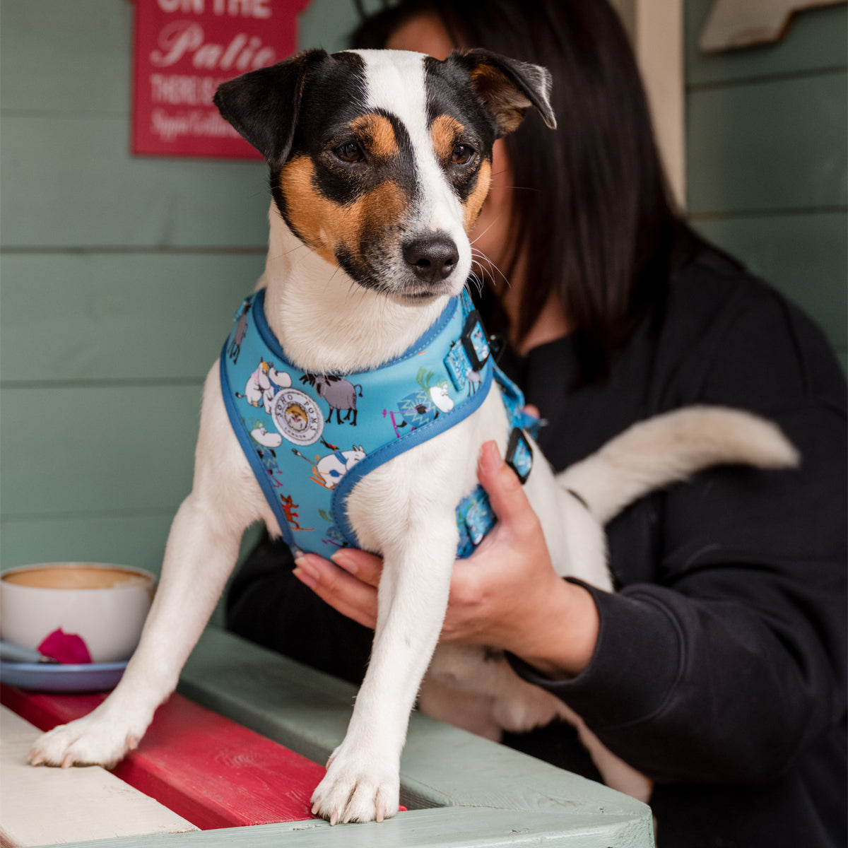 Moomins Blue Holiday Dogs Padded Harness by Soho Poms