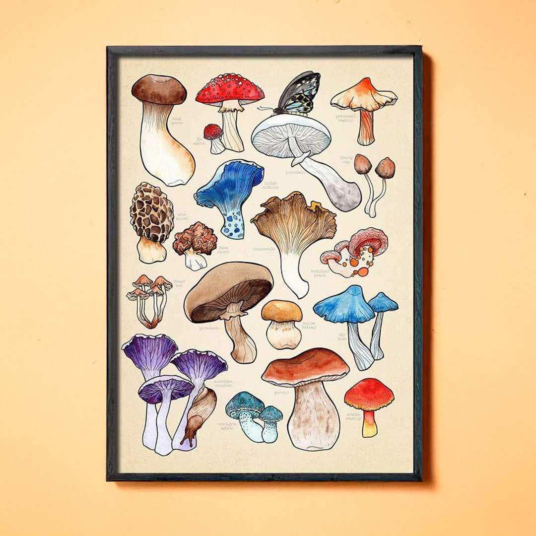 Mushroom Varieties Canvas Print