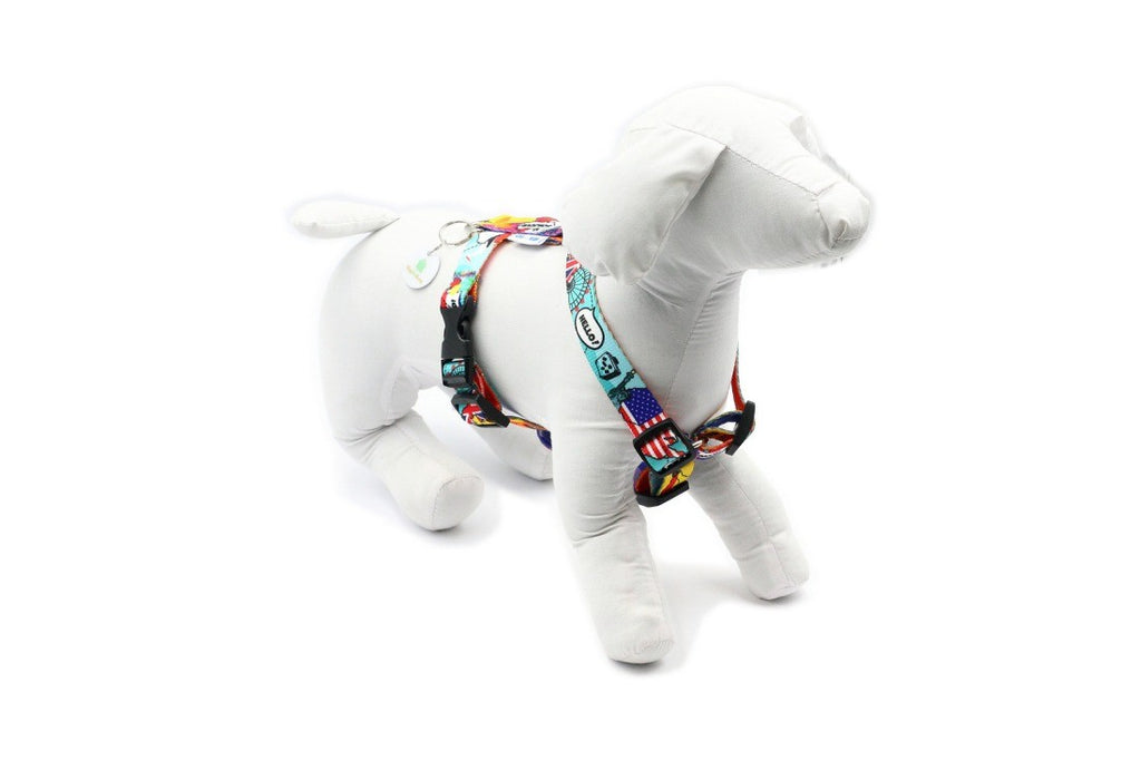 close-up of the durable nylon harness showing the nickel-plated handle and four plastic adjusters for a secure fit