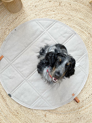 bold beige okka travel mat for dogs on a stylish adventure, showing its durable oeko-tex fabric and luxury leather belt
