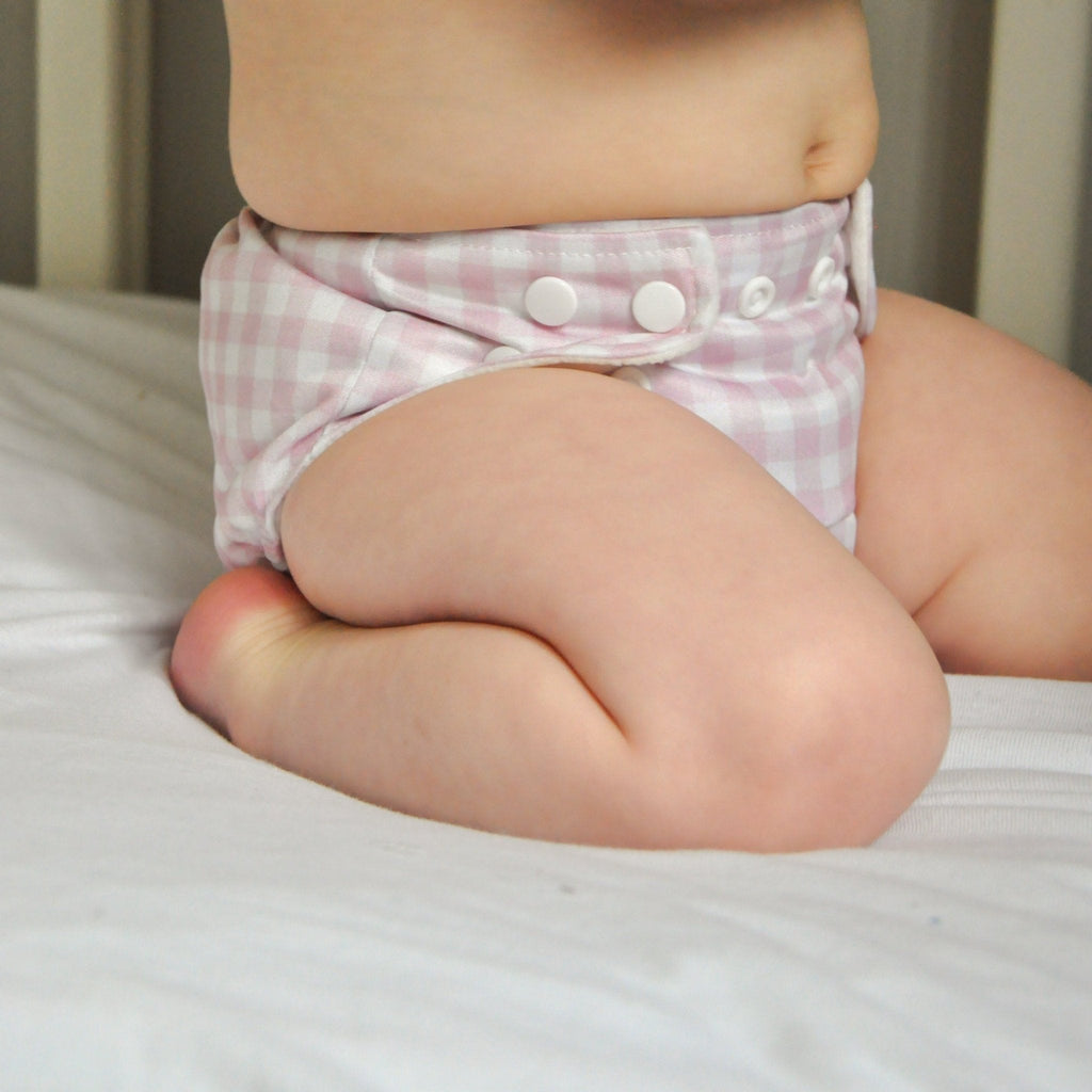 One Size Rose Gingham Reusable Cloth Nappy Baby to Potty