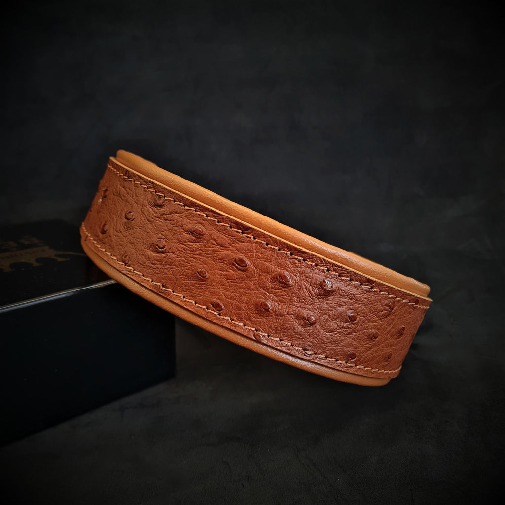 The Ostrich Collar Limited Edition Handmade Leather