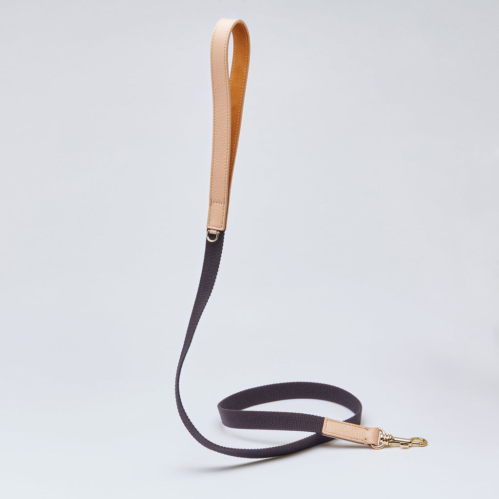 Contrast Lead in Apricot and Black