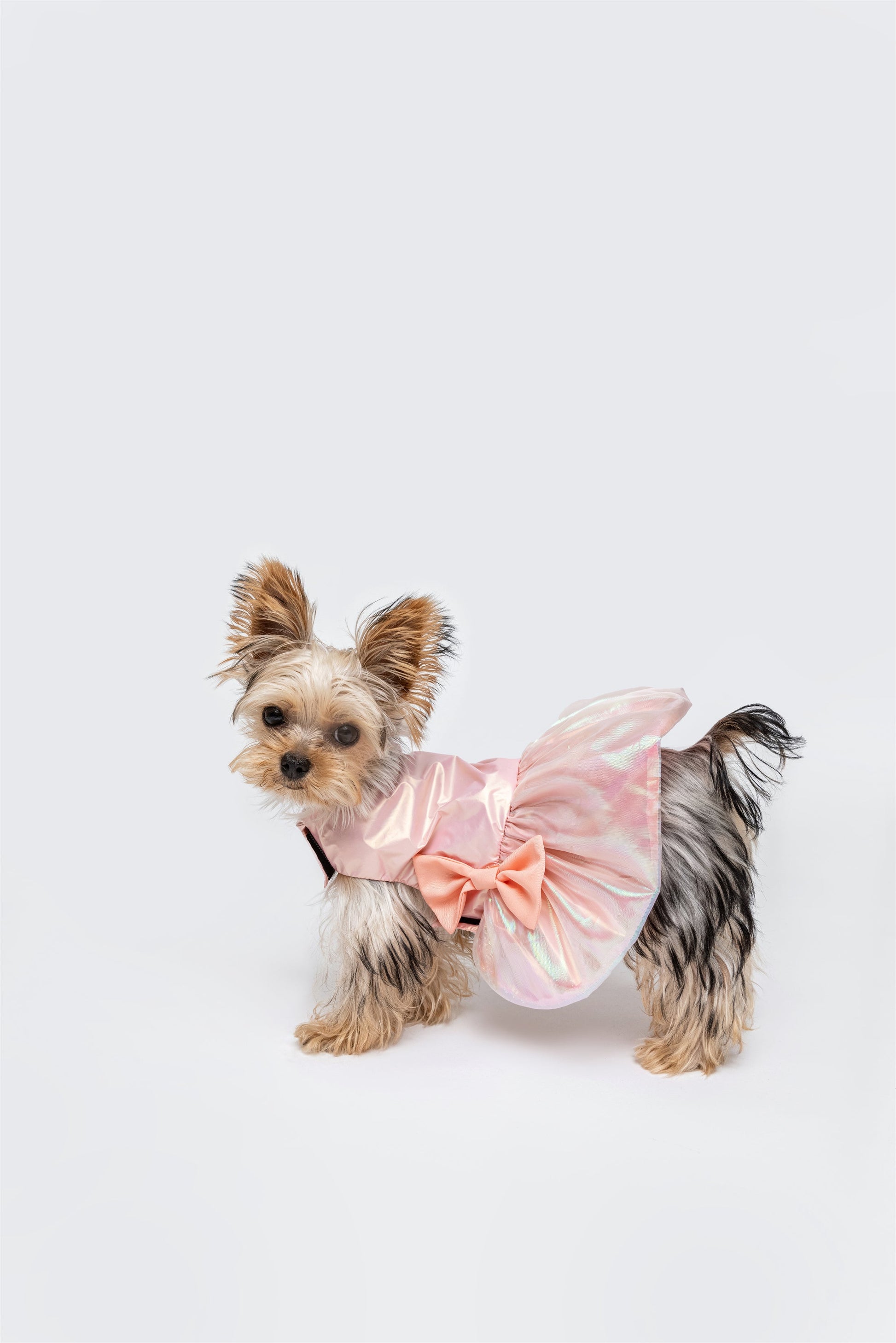 Bowknot Glossy Summer Dress