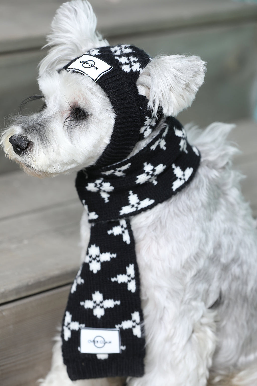 Floral Jacquard Woolen Hat for Pets