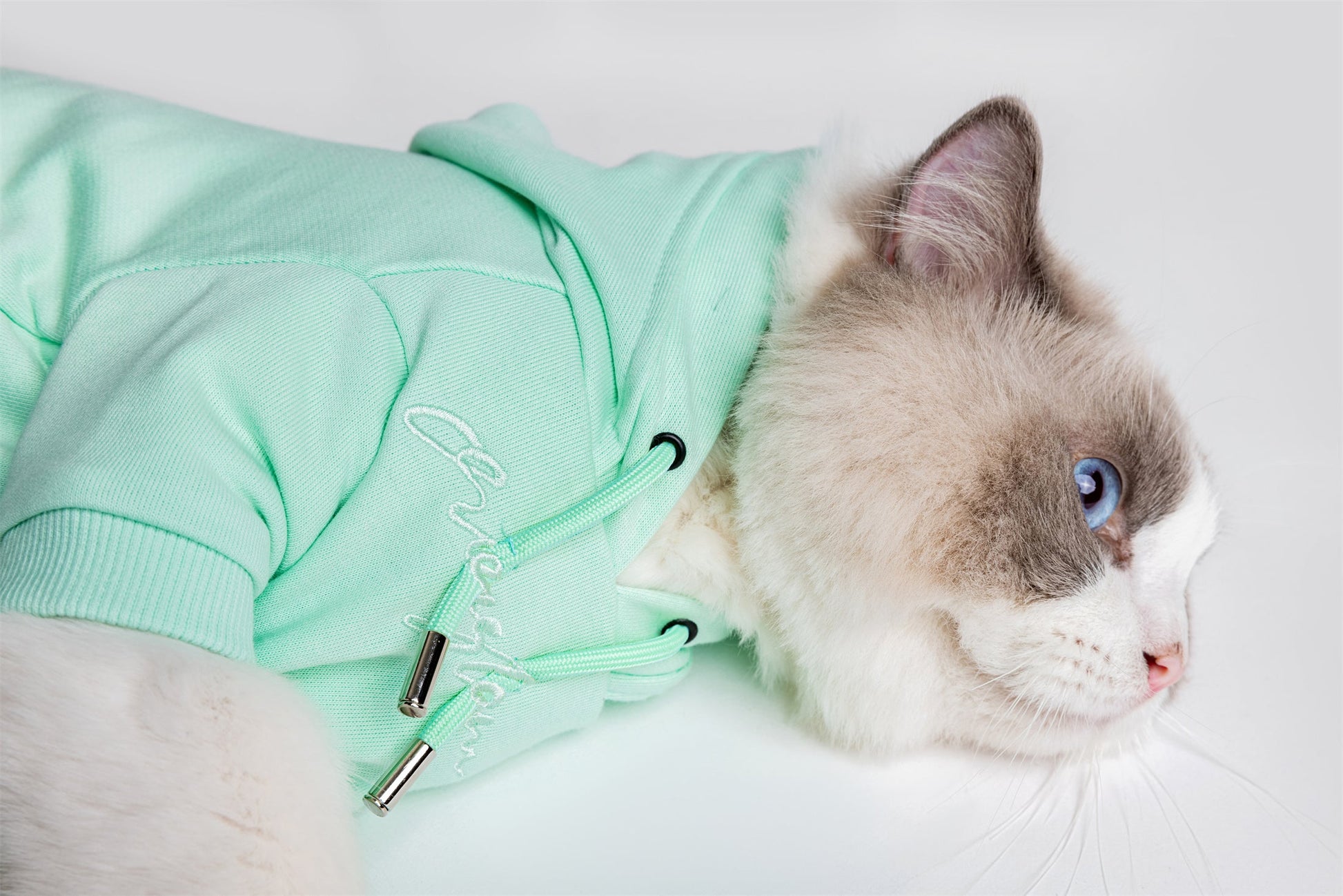 Pastel Hoodie with Glam Embroidery