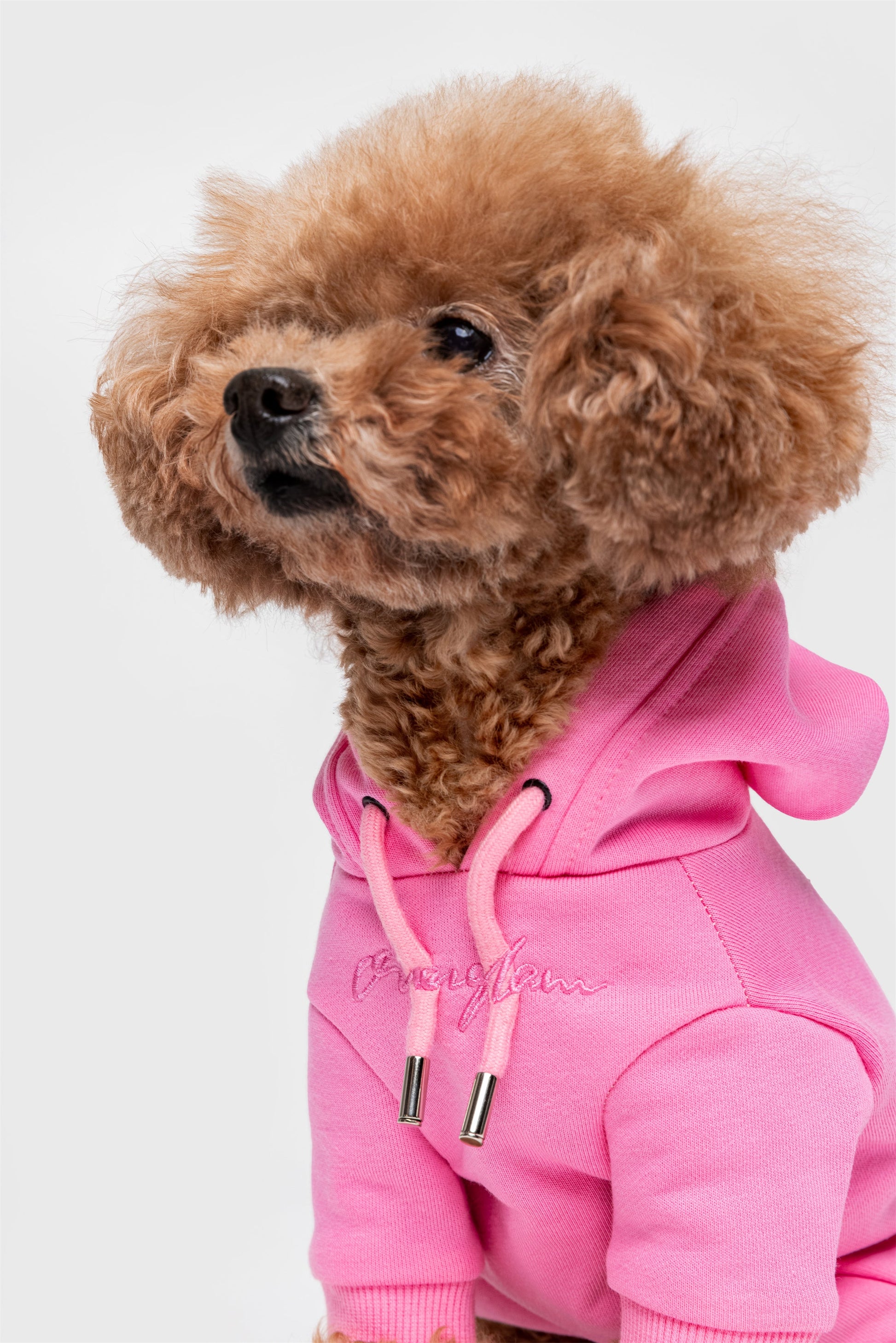 Pastel Hoodie with Glam Embroidery