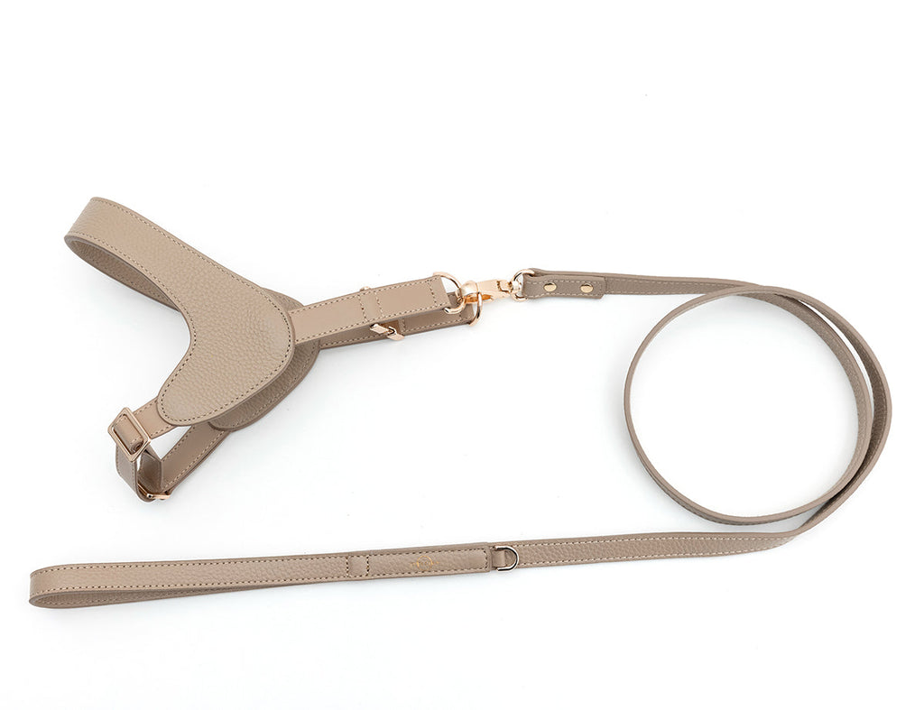 Leather Harness Set with Lead and Pocket