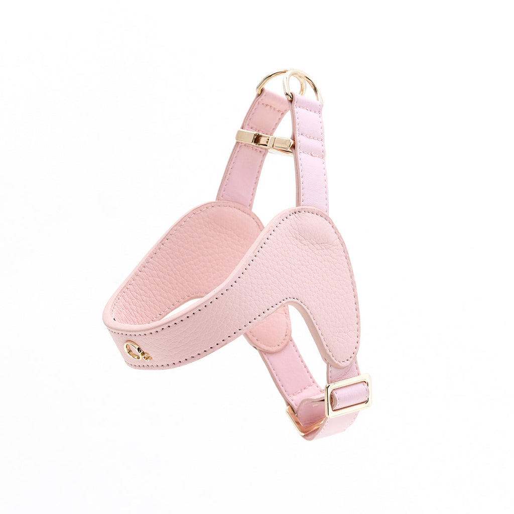 Leather Harness in Mint, Brown and Black