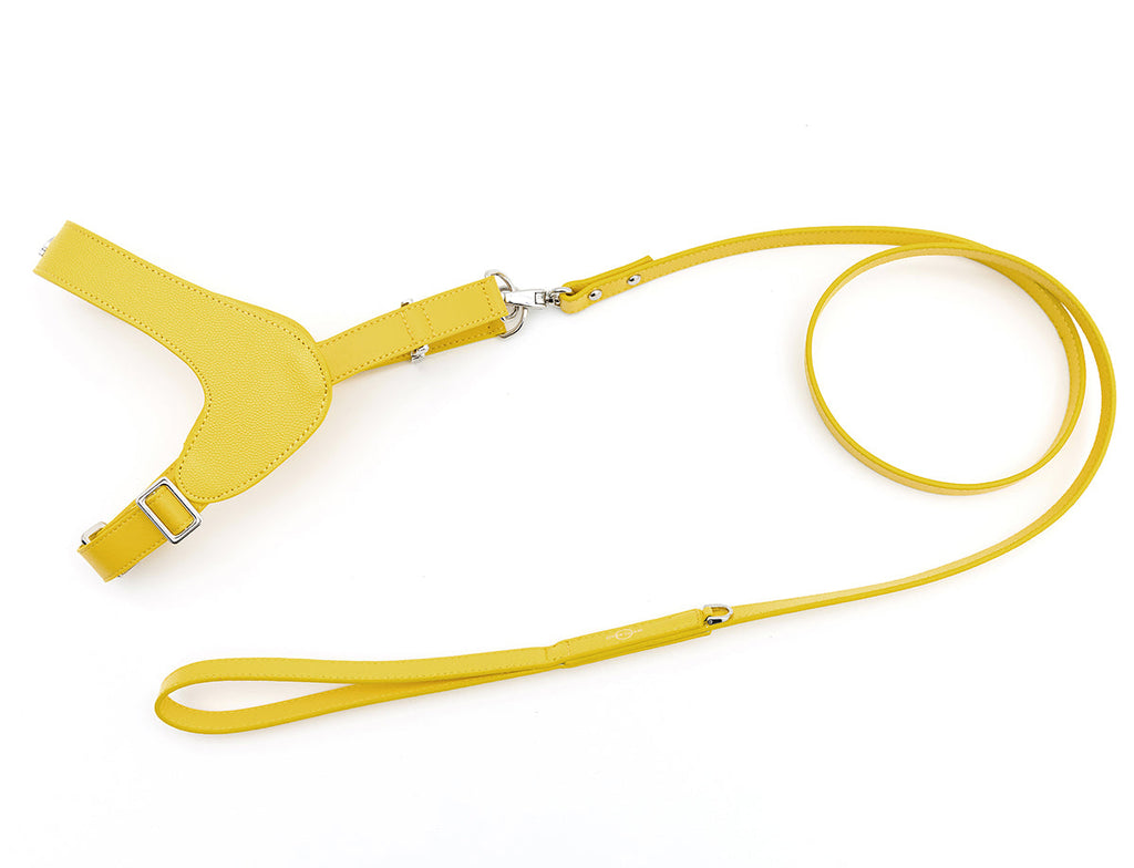 Leather Harness in Mint, Brown and Black