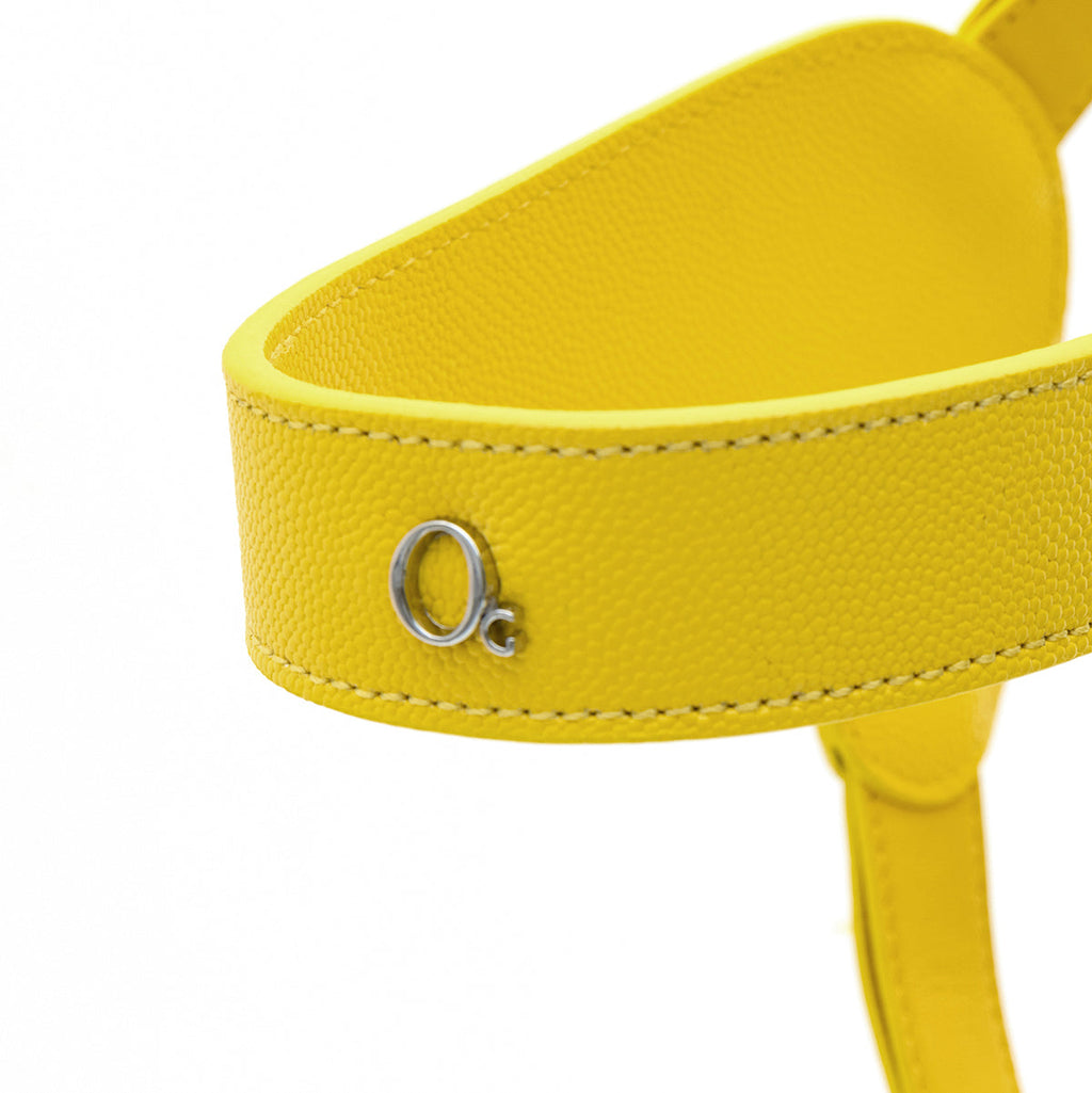 Leather Harness Set with Lead and Pocket