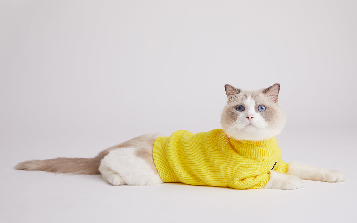 OG Turtleneck Striped Jumper in Yellow