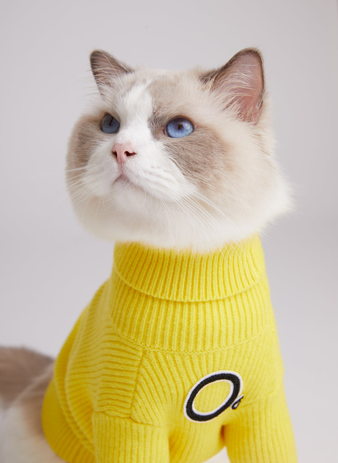 OG Turtleneck Striped Jumper in Yellow