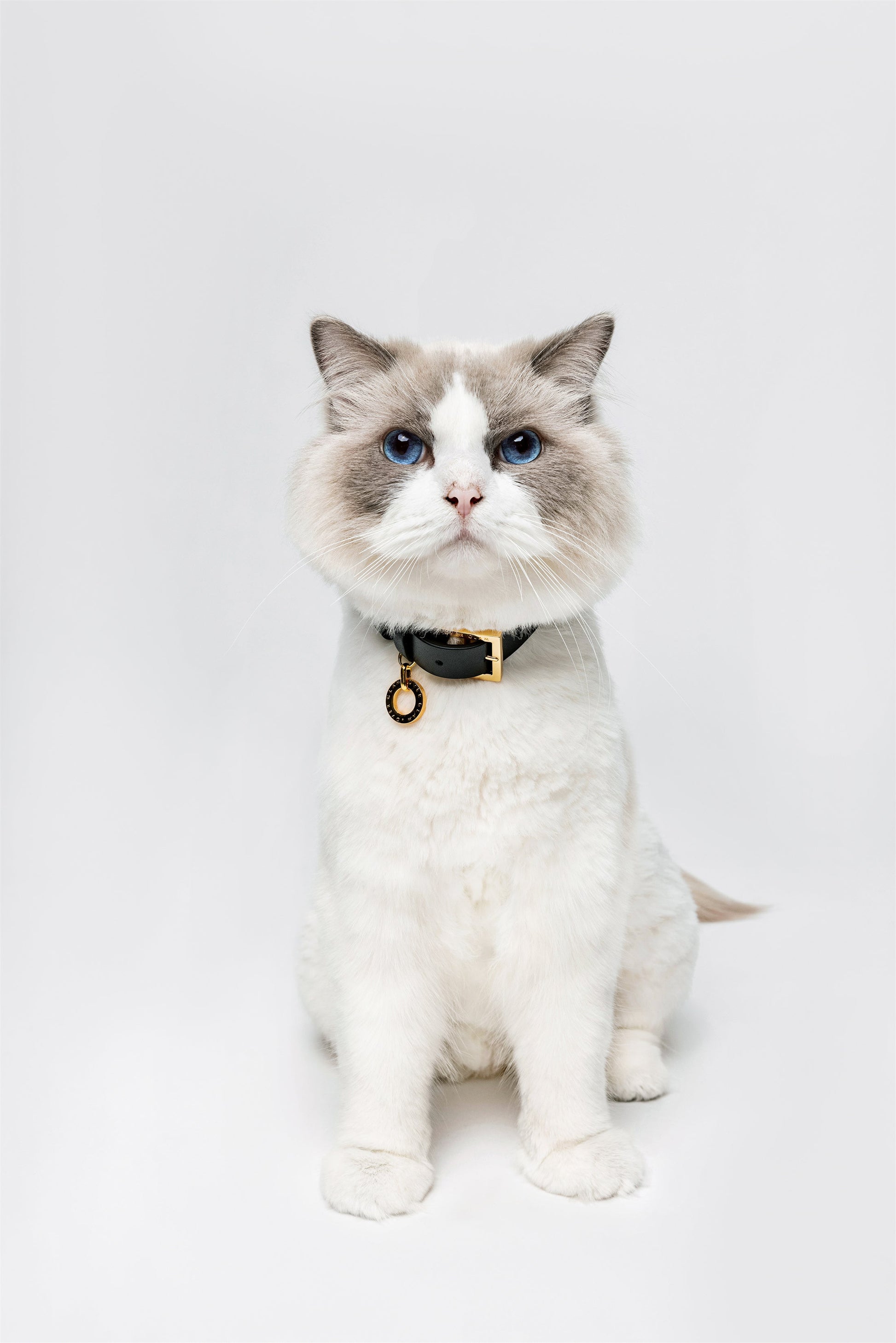 Premium Leather Collar