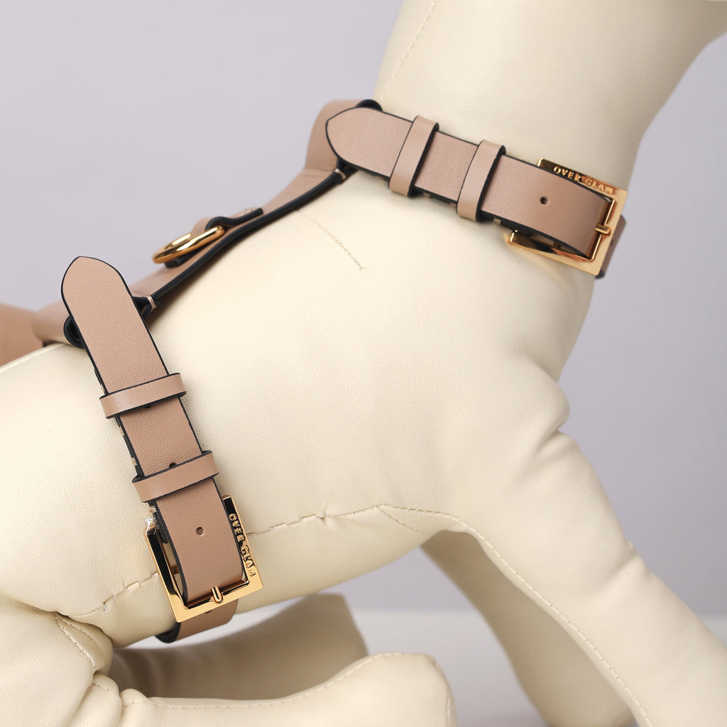 Puppy Pouch Harness