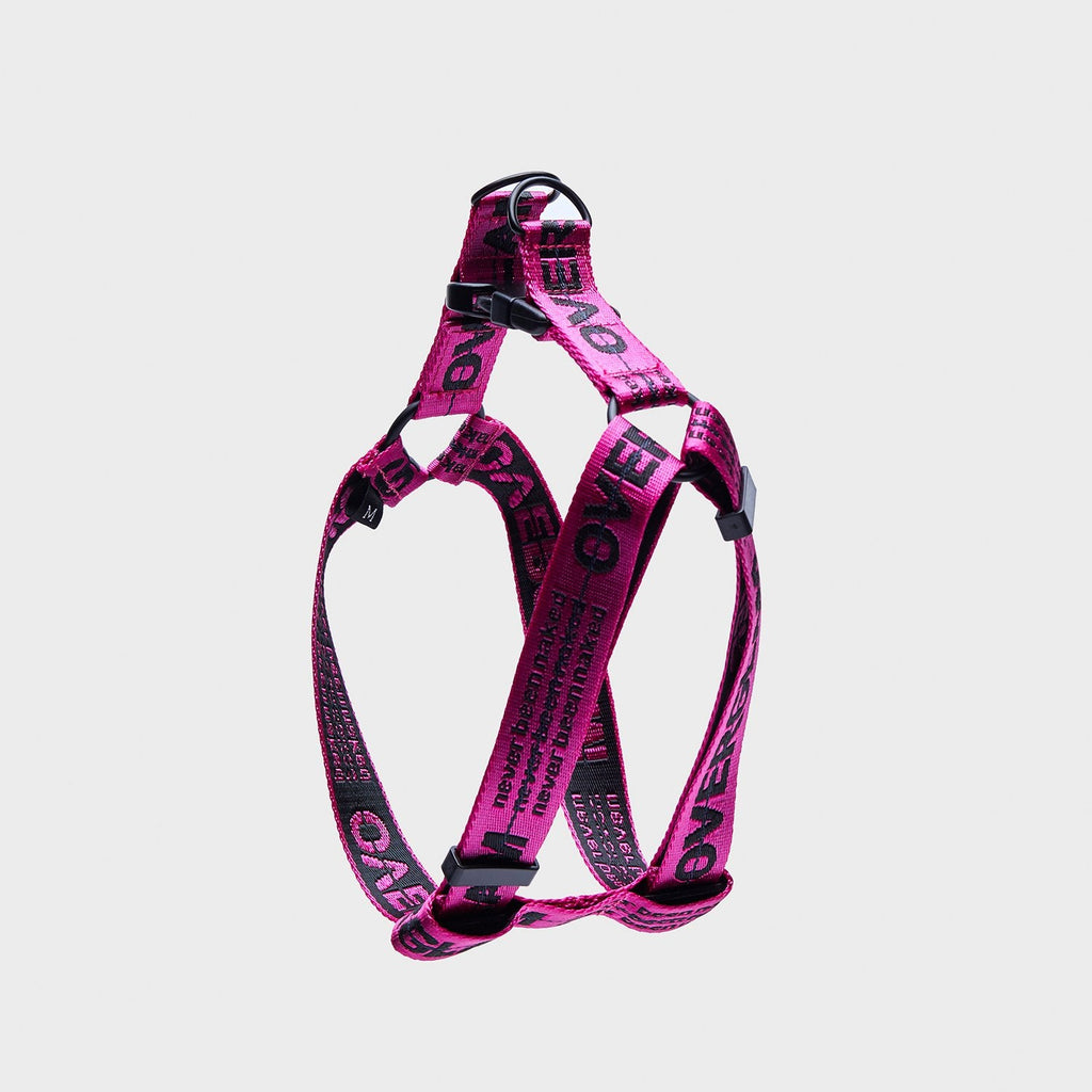 Ribbon Harness in Rose and Green