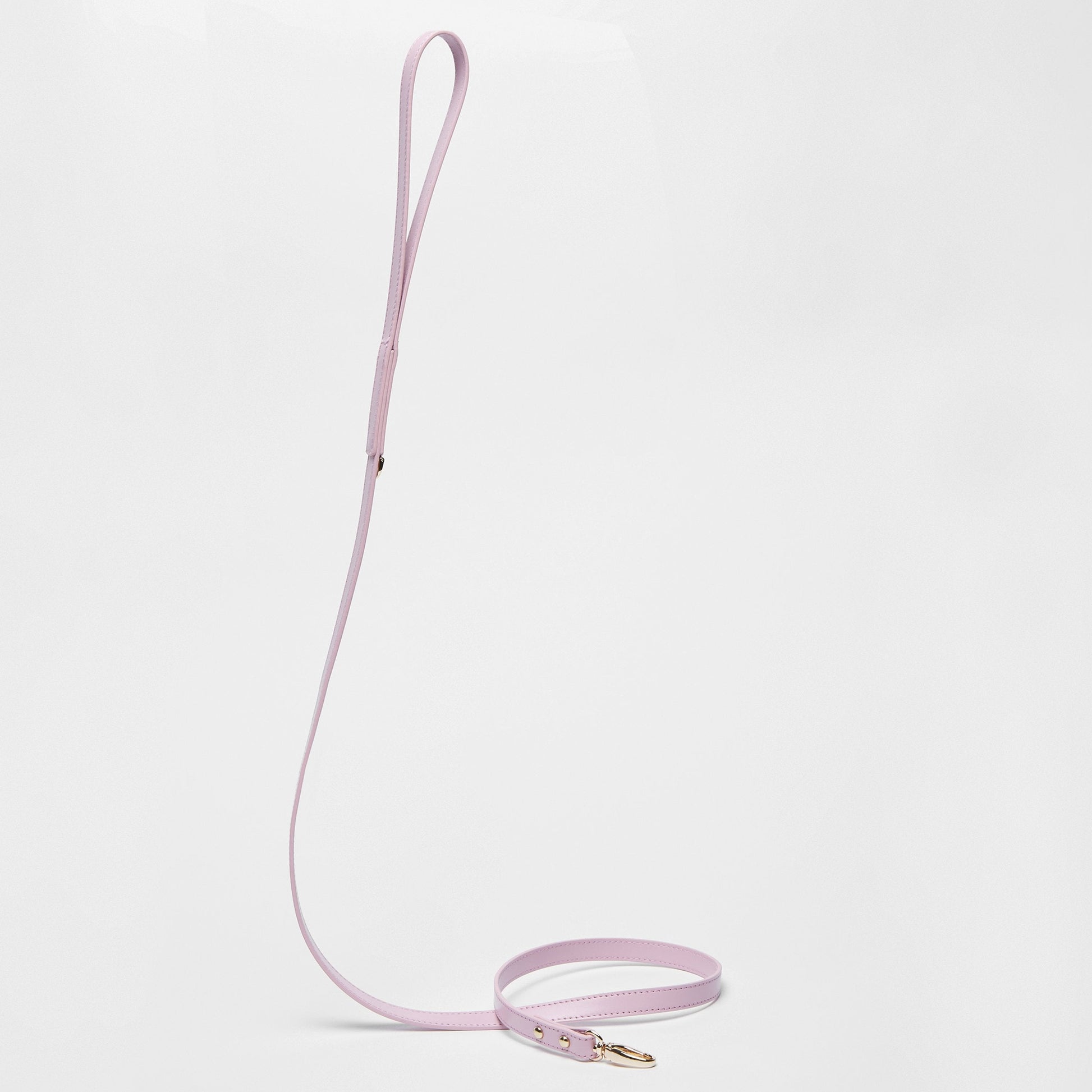 Smooth Leather Lead in Pink
