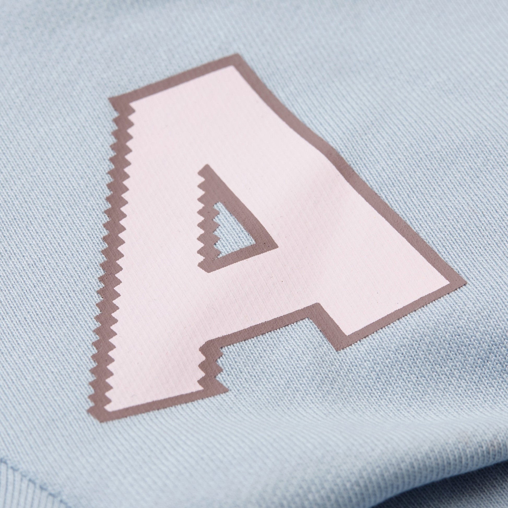 A Print Hoodie in Baby Blue or Brown