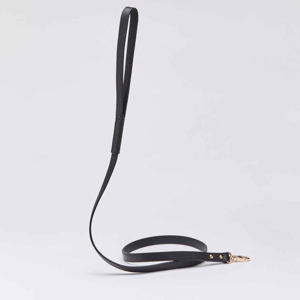 Leather Lead in Six Colours