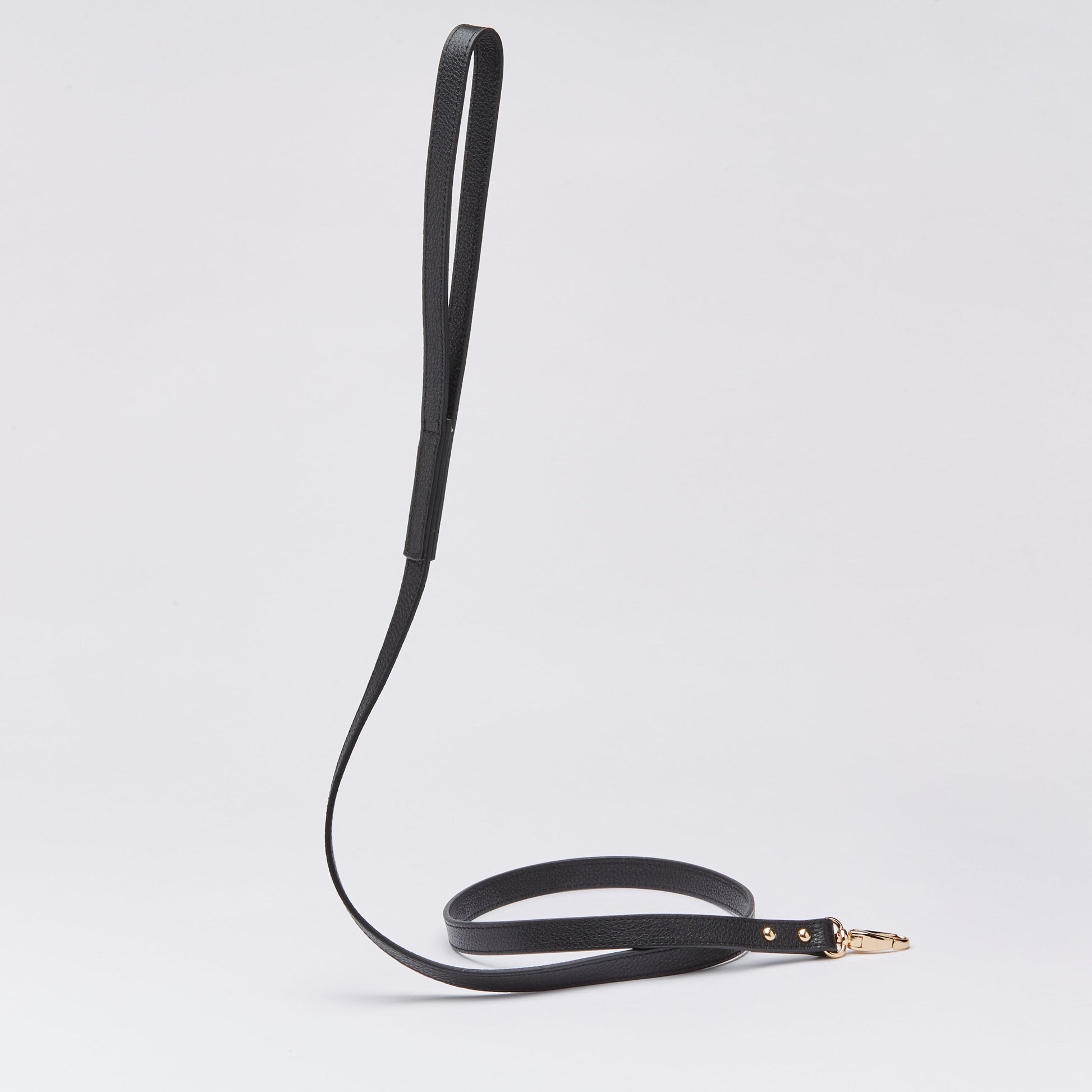 Leather Lead in Six Colours