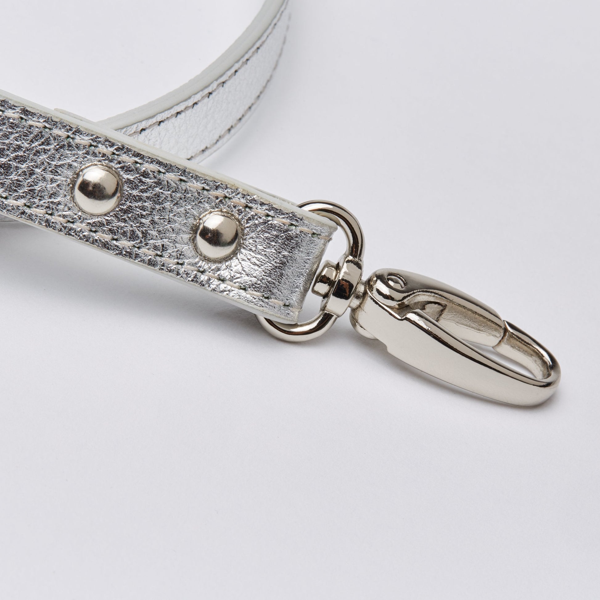 Gloss Lead in Rose and Silver