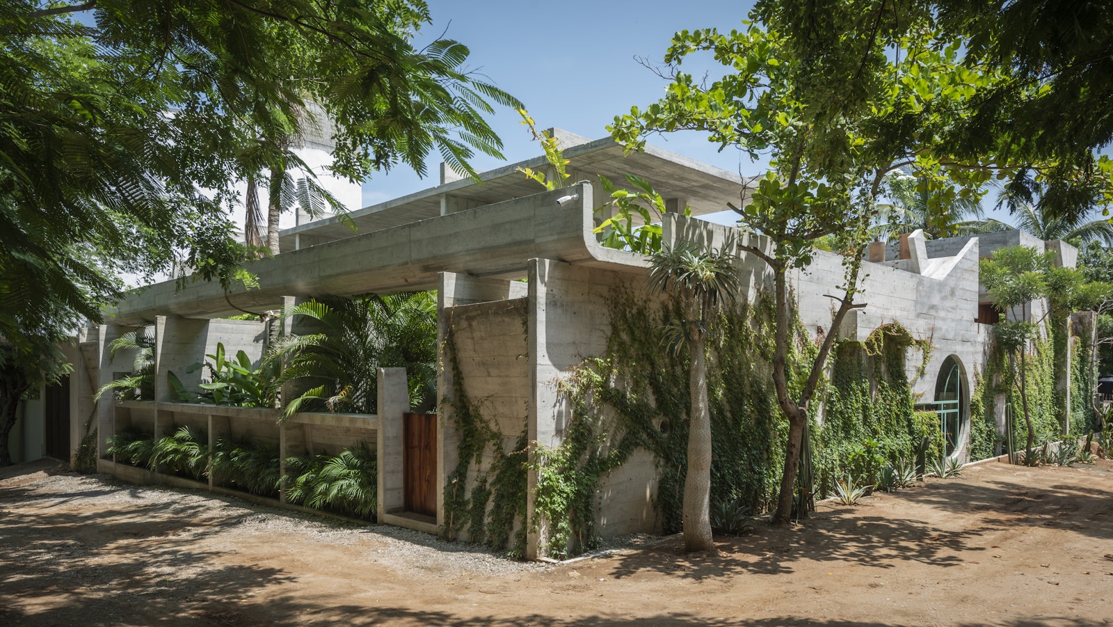 Natural Homes and Biophilic Architecture