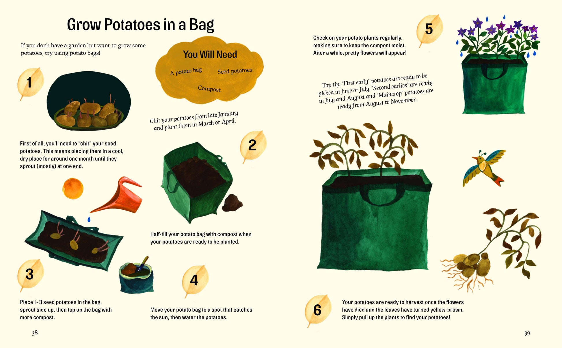 Easy Peasy Gardening Activities