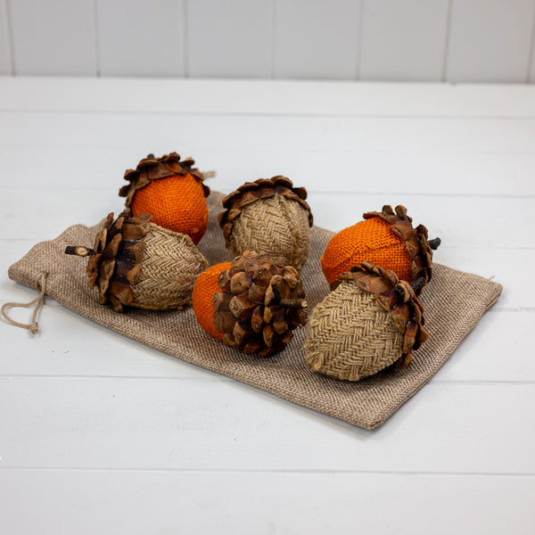 Bag of Six Acorns