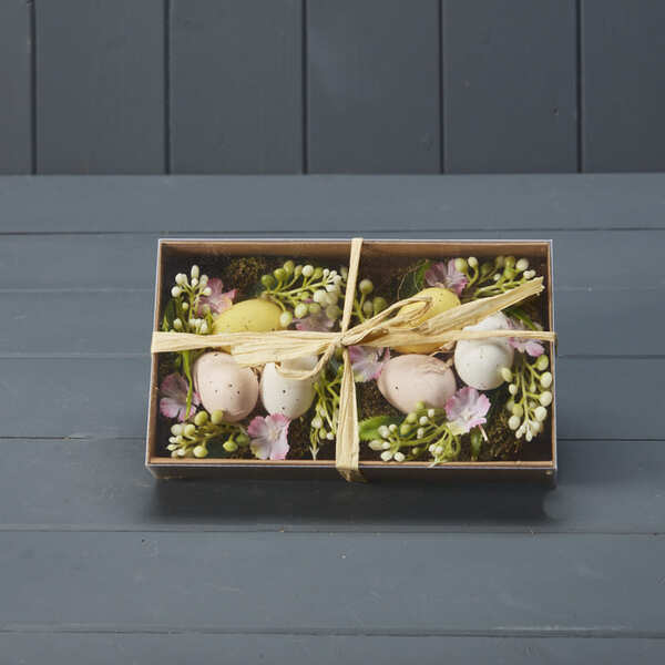 Two Nest of Eggs in a Box