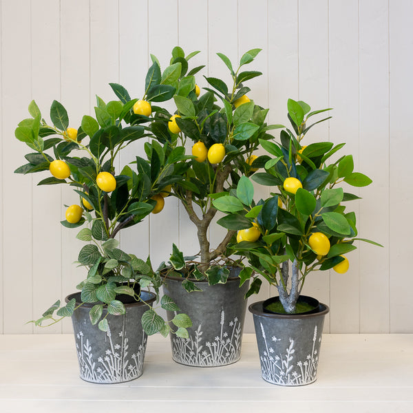 Set of Three Rustic metal planters with Meadow design