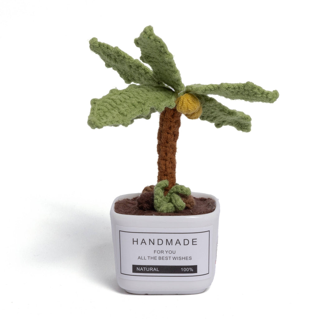 Tranquil Succulent Garden Collection